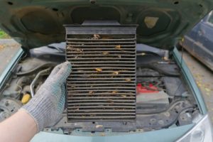 Meineke Car Care | Cabin Air Filter | Madison WI